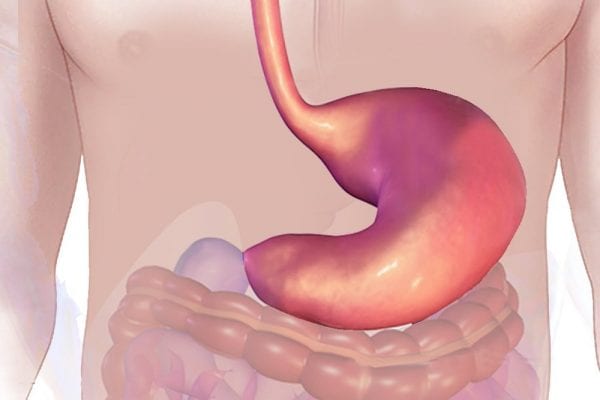 পেট পরিষ্কার রাখেঃ