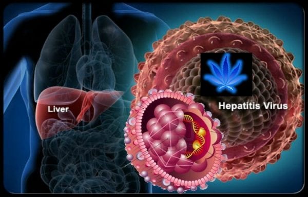 হেপাটাইটিস বি এর লক্ষণঃ