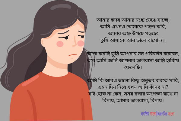 বিদায় কবিতা ৫ 