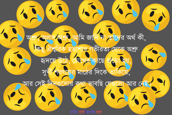 বিদায় কবিতা ৭