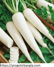 মুলা খাওয়া ভালো কেন?