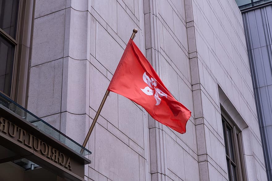 flag-symbolism-symbol-coat-of-arms-hong-kong-representation-government