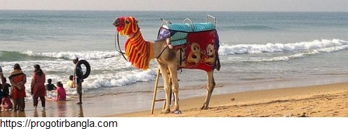 পুরীর সমুদ্র (Sea of Puri)