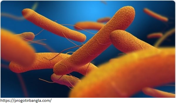 ঘরোয়া প্রতিকারঃ