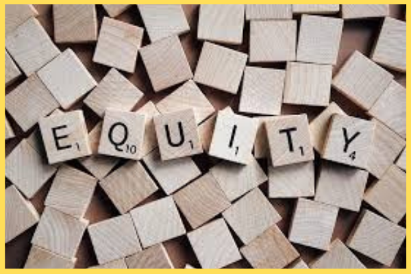 ইক্যুইটি শেয়ারের অসুবিধা
