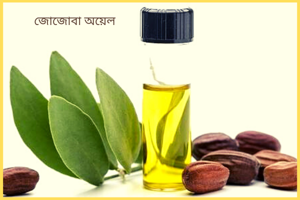 বলিরেখা দূর করতে জোজোবা অয়েলঃ 