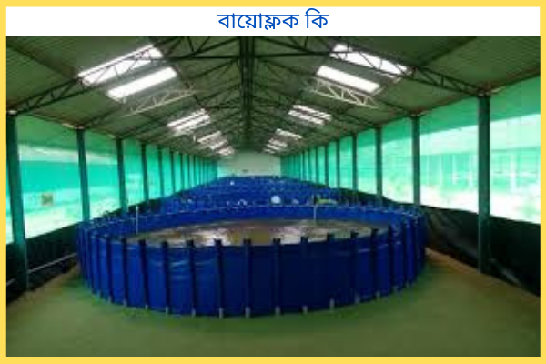 বায়োফ্লক কি