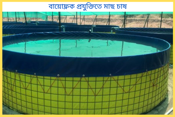 বায়োফ্লক