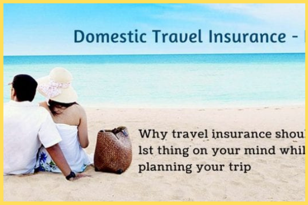 ঘরোয়া ভ্রমণ বীমা
