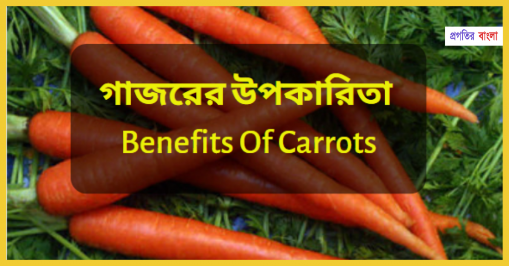 গাজর