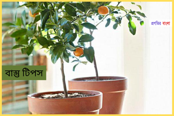 সুস্বাস্থ্যের জন্যঃ
