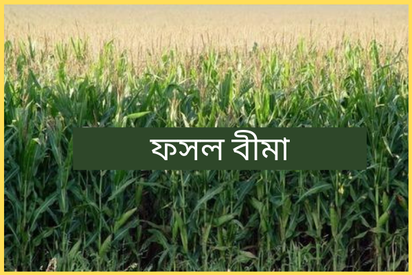 ফসল বীমা
