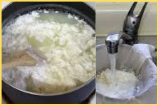 রসগোল্লা বানানোর জন্য যা করতে হবেঃ