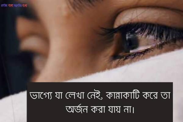  ভাগ্যে যা লেখা নেই, কান্নাকাটি করে তা অর্জন করা যায় না।