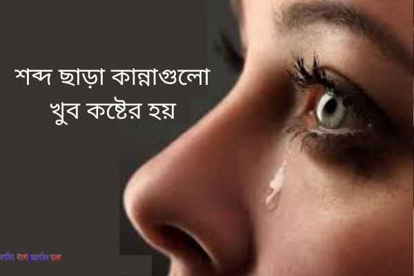 স্ট্যাটাস 24