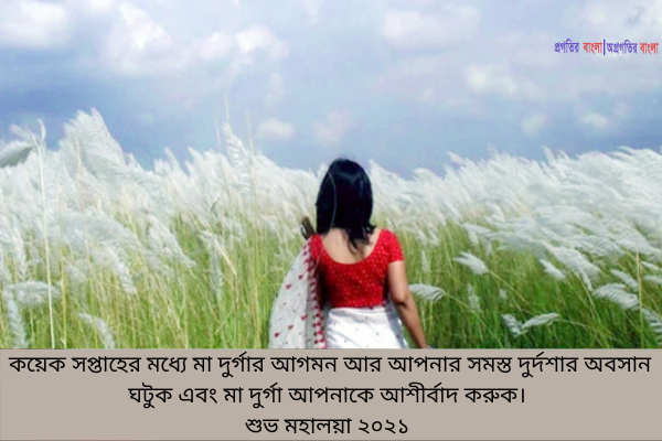 শুভেচ্ছা ৮