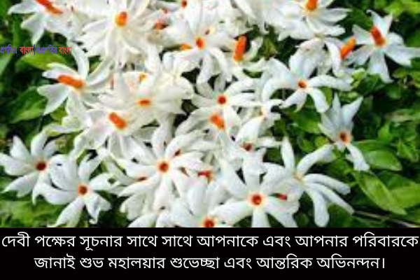 শুভেচ্ছা ৭