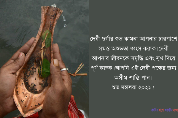 শুভেচ্ছা ৩