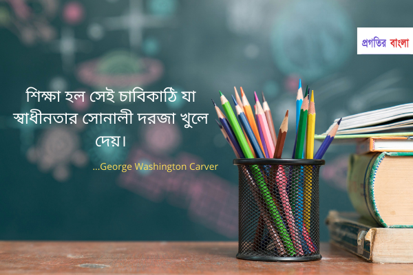 Quotes 4 