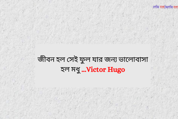  জীবন হল সেই ফুল যার জন্য ভালোবাসা হল মধু