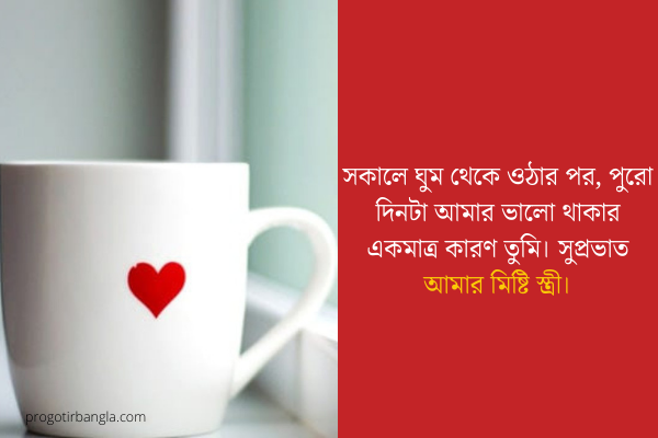 স্ত্রীর জন্য সুপ্রভাত শুভেচ্ছা বার্তা (1)