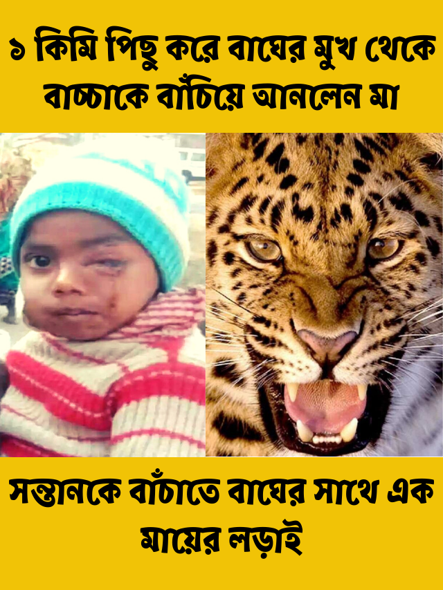 কিরণ দেবী