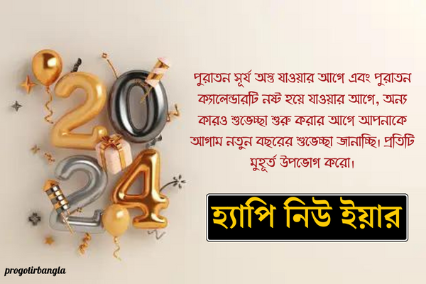 নতুন বছরের শুভেচ্ছা