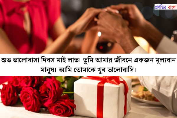 ভালোবাসা দিবসের শুভেচ্ছা