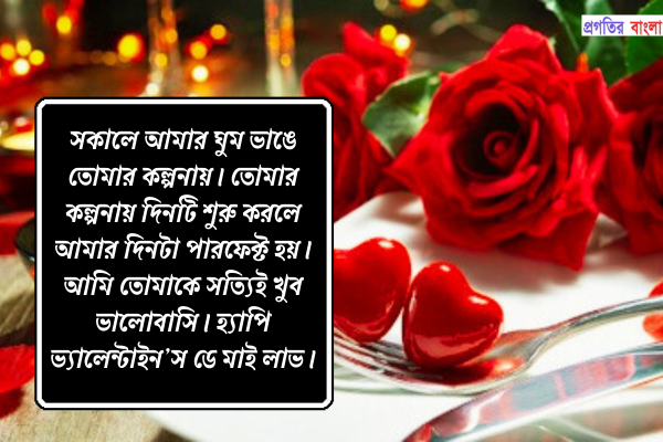 ভালোবাসা দিবসের শুভেচ্ছা