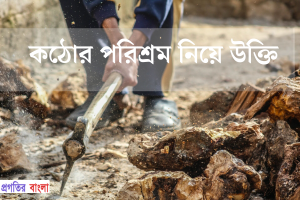 পরিশ্রম নিয়ে উক্তি 