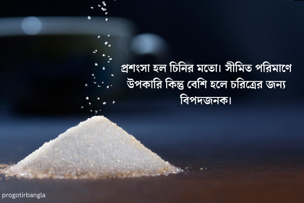  প্রশংসা হল চিনির মতো। সীমিত পরিমাণে উপকারি কিন্তু বেশি হলে চরিত্রের জন্য বিপদজনক।