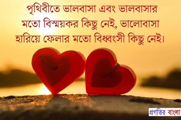 ব্যর্থতা নিয়ে উক্তি