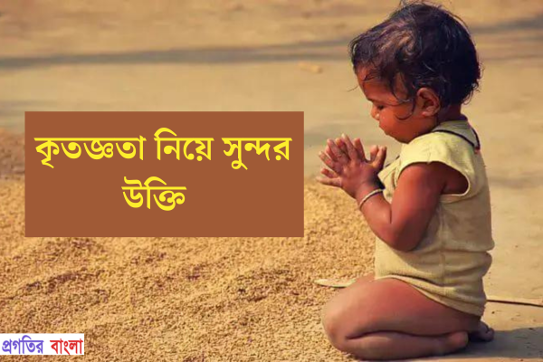 কৃতজ্ঞতা নিয়ে সুন্দর উক্তি