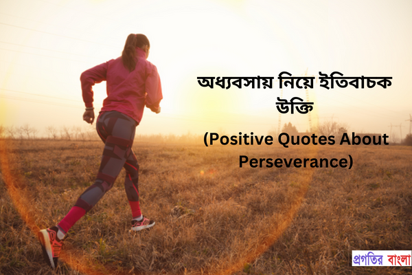 অধ্যবসায় নিয়ে অনুপ্রেরণামূলক উক্তি