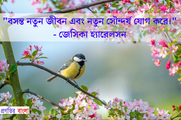  বসন্ত নতুন জীবন এবং নতুন সৌন্দর্য যোগ করে