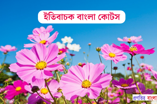 ইতিবাচক বাংলা কোটস