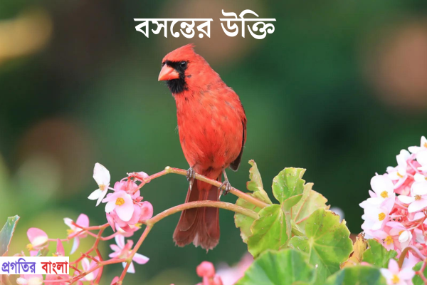 বসন্তের উক্তি