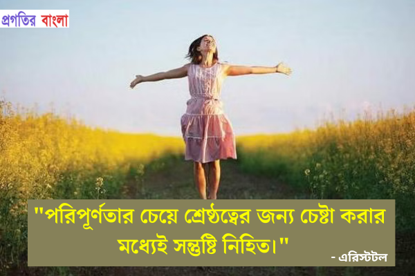  পরিপূর্ণতার চেয়ে শ্রেষ্ঠত্বের জন্য চেষ্টা করার মধ্যেই সন্তুষ্টি নিহিত