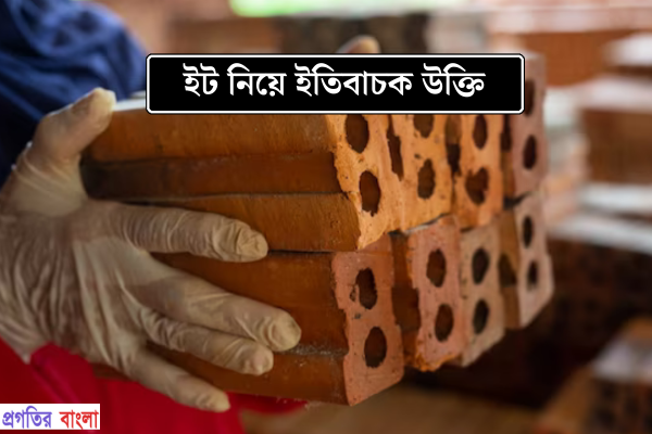 ইট নিয়ে ইতিবাচক উক্তি