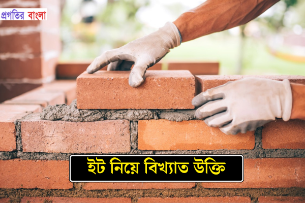 ইট নিয়ে বিখ্যাত উক্তি