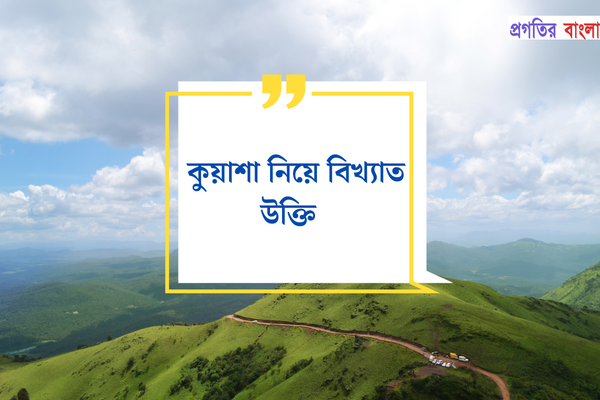 কুয়াশা নিয়ে বিখ্যাত উক্তি