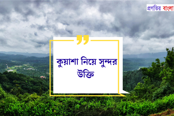 কুয়াশা নিয়ে সুন্দর উক্তি