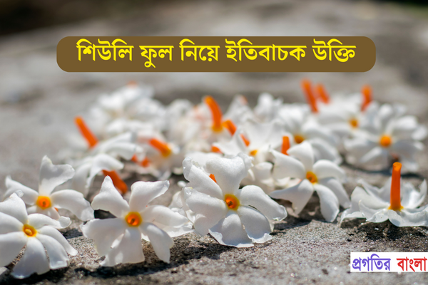শিউলি ফুল নিয়ে ইতিবাচক উক্তি