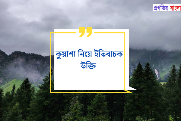 কুয়াশা নিয়ে ইতিবাচক উক্তি