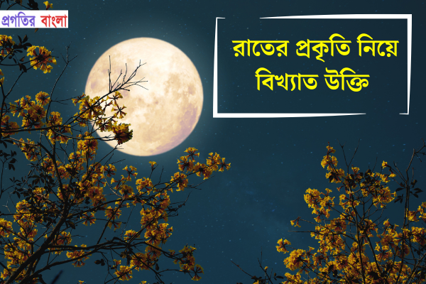 রাতের প্রকৃতি নিয়ে বিখ্যাত উক্তি