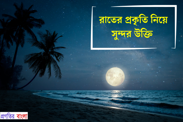 রাতের প্রকৃতি নিয়ে সুন্দর উক্তি