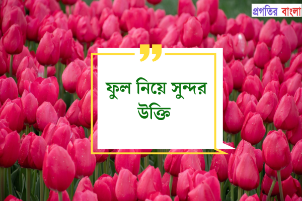 ফুল নিয়ে সুন্দর উক্তি