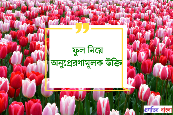 ফুল নিয়ে অনুপ্রেরণামূলক উক্তি