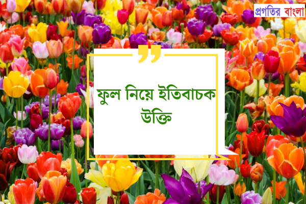 ফুল নিয়ে ইতিবাচক উক্তি