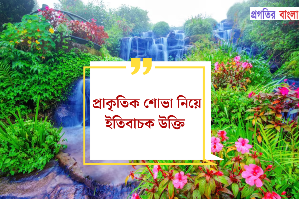 প্রাকৃতিক শোভা নিয়ে ইতিবাচক উক্তি